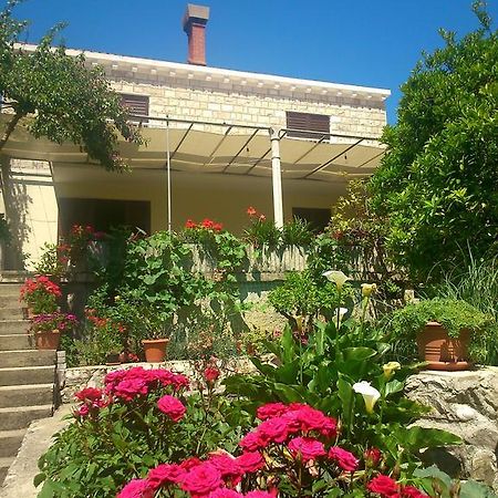 Antun Mozara Family House Bed & Breakfast Slano Exterior photo