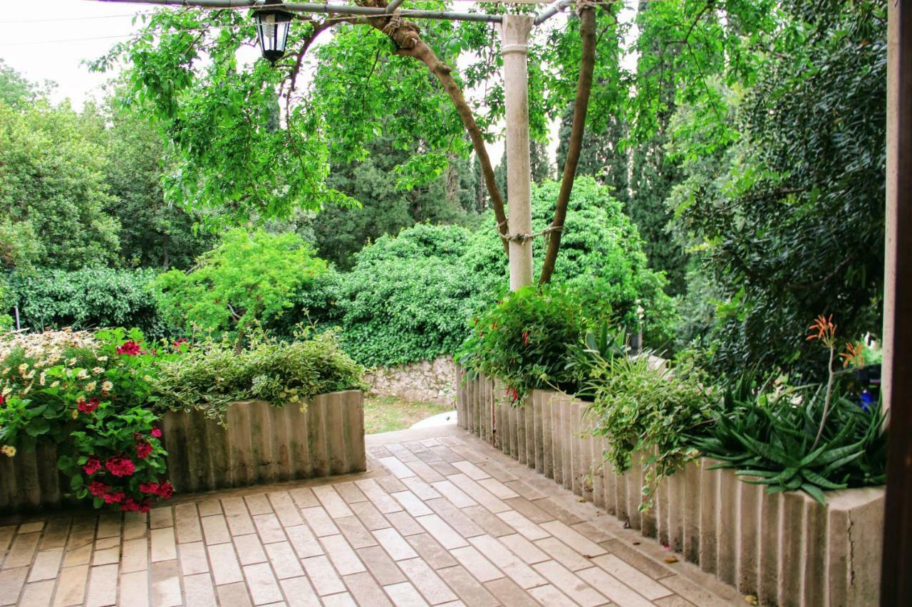 Antun Mozara Family House Bed & Breakfast Slano Exterior photo