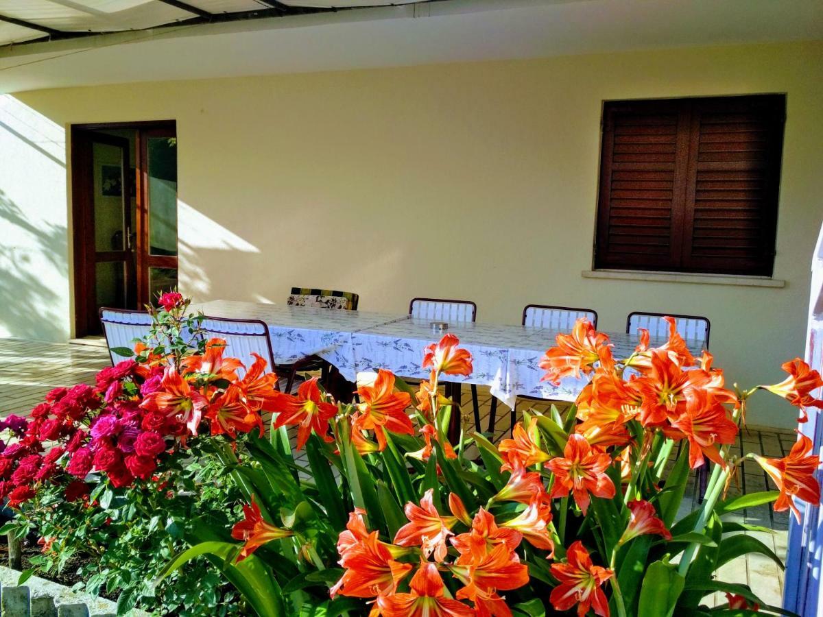 Antun Mozara Family House Bed & Breakfast Slano Exterior photo